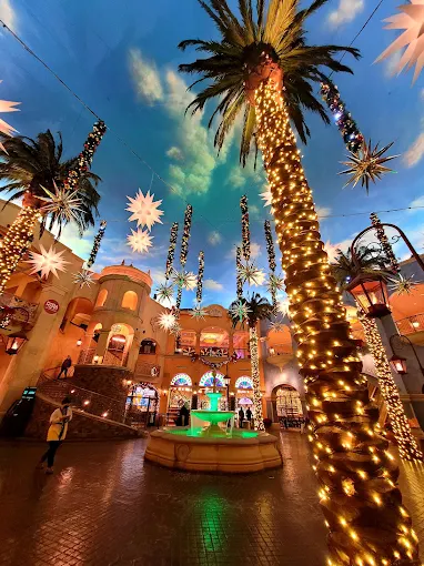 Networking Reception